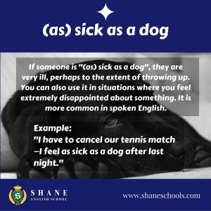 English lesson - as sick as a dog