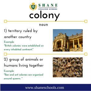 English lesson - colony