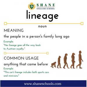 English lesson - lineage