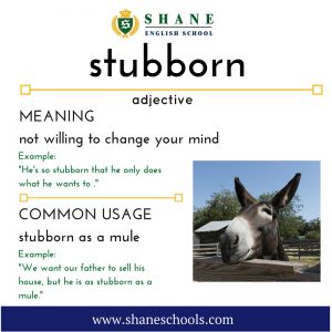 English lesson - stubborn