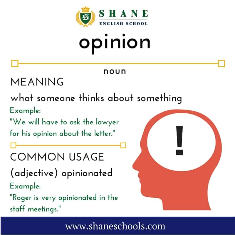 What Is Opinion In English