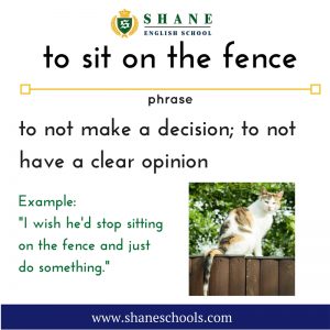 English lesson - to sit on the fence