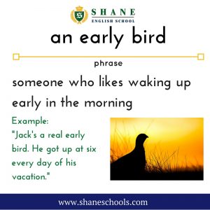 English lesson - early bird