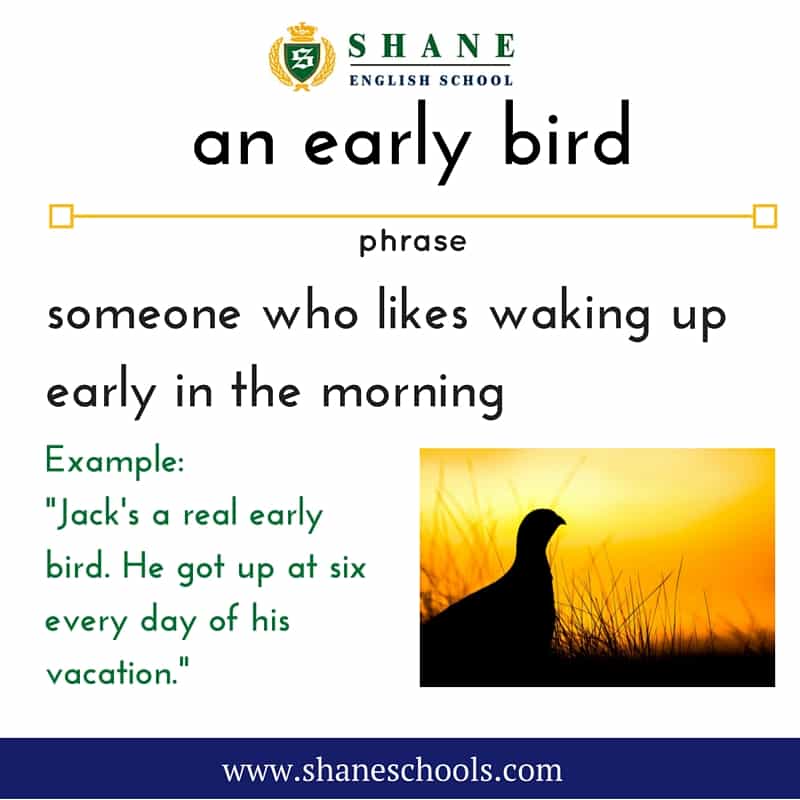 english-lesson-0129-phrase-of-the-day-an-early-bird-shane-english