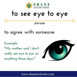 English lesson - to see eye to eye