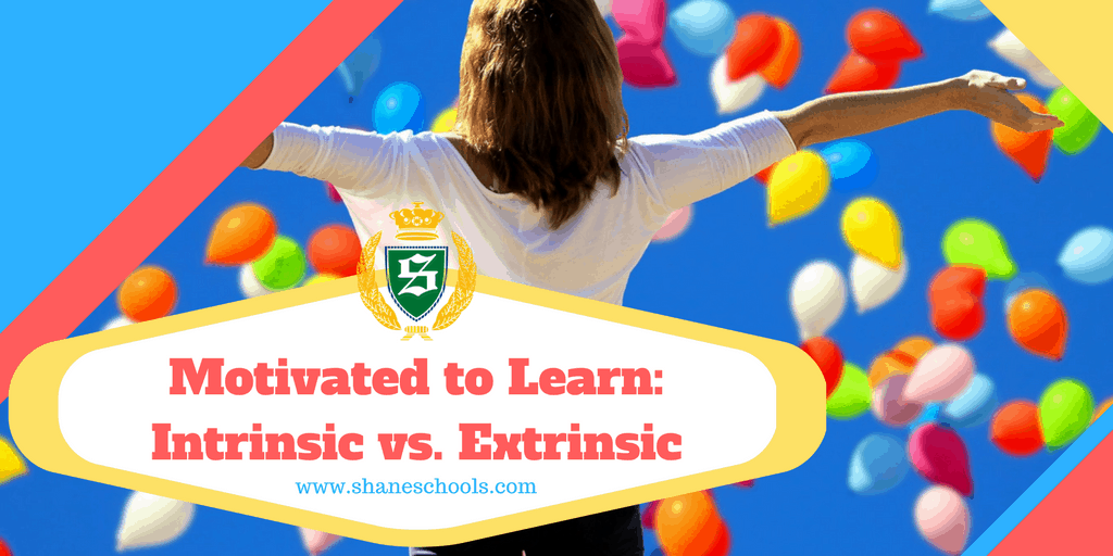 Motivated to Learn- Intrinsic vs. Extrinsic